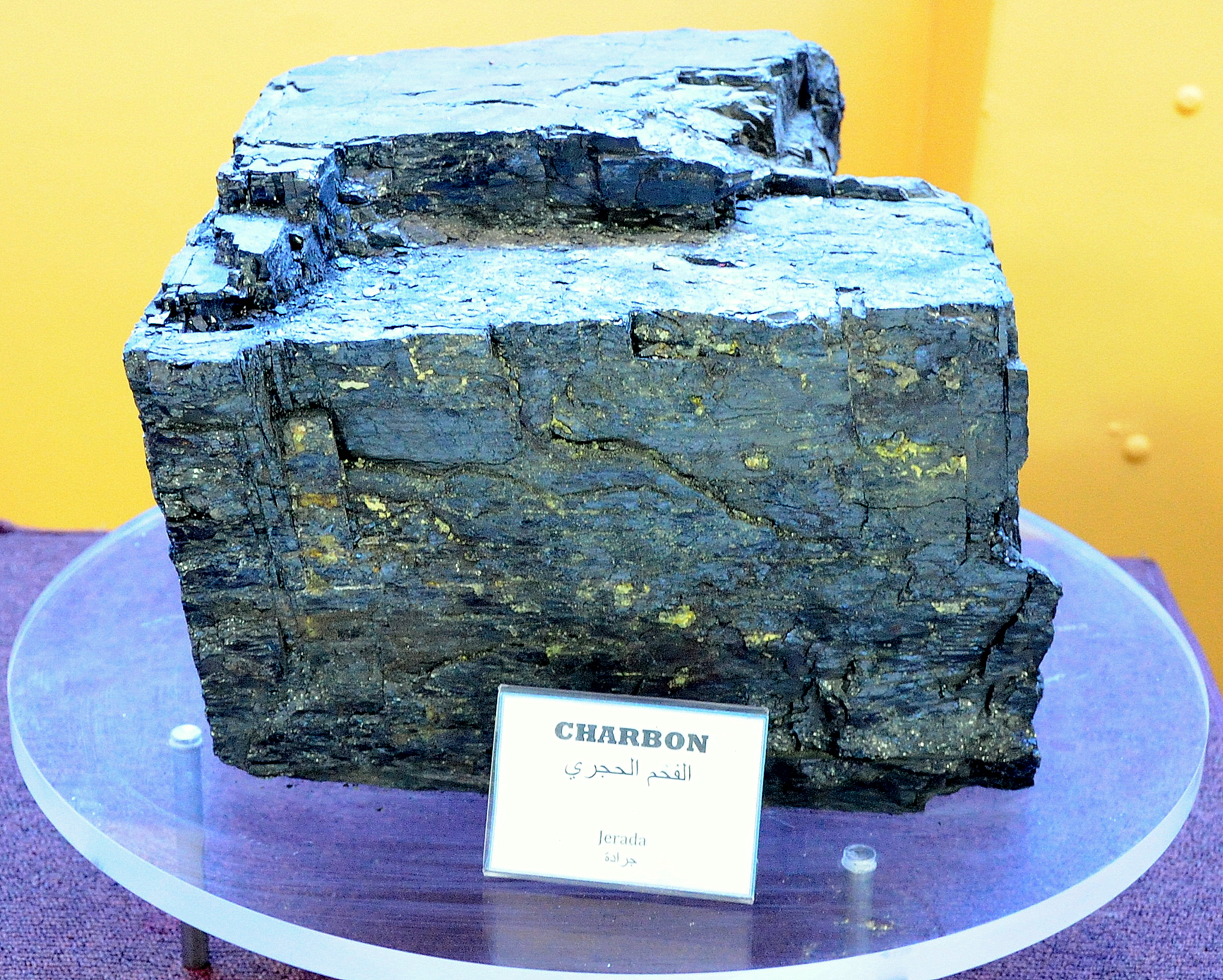 Musée du Département de l'Energie et des Mines