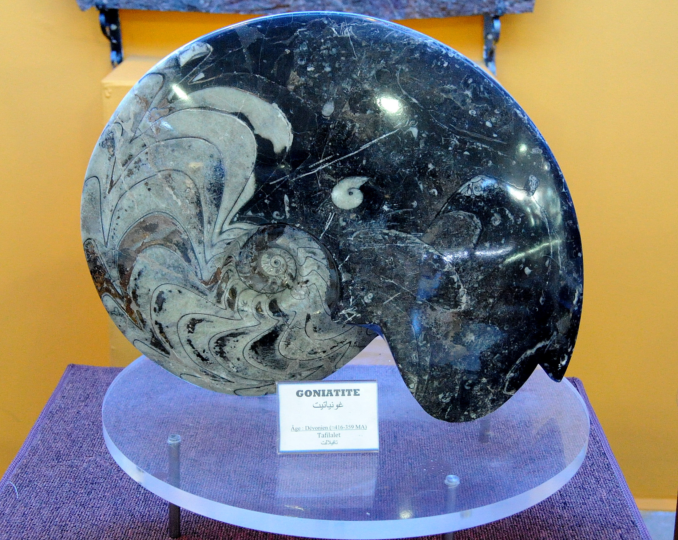 Musée du Département de l'Energie et des Mines