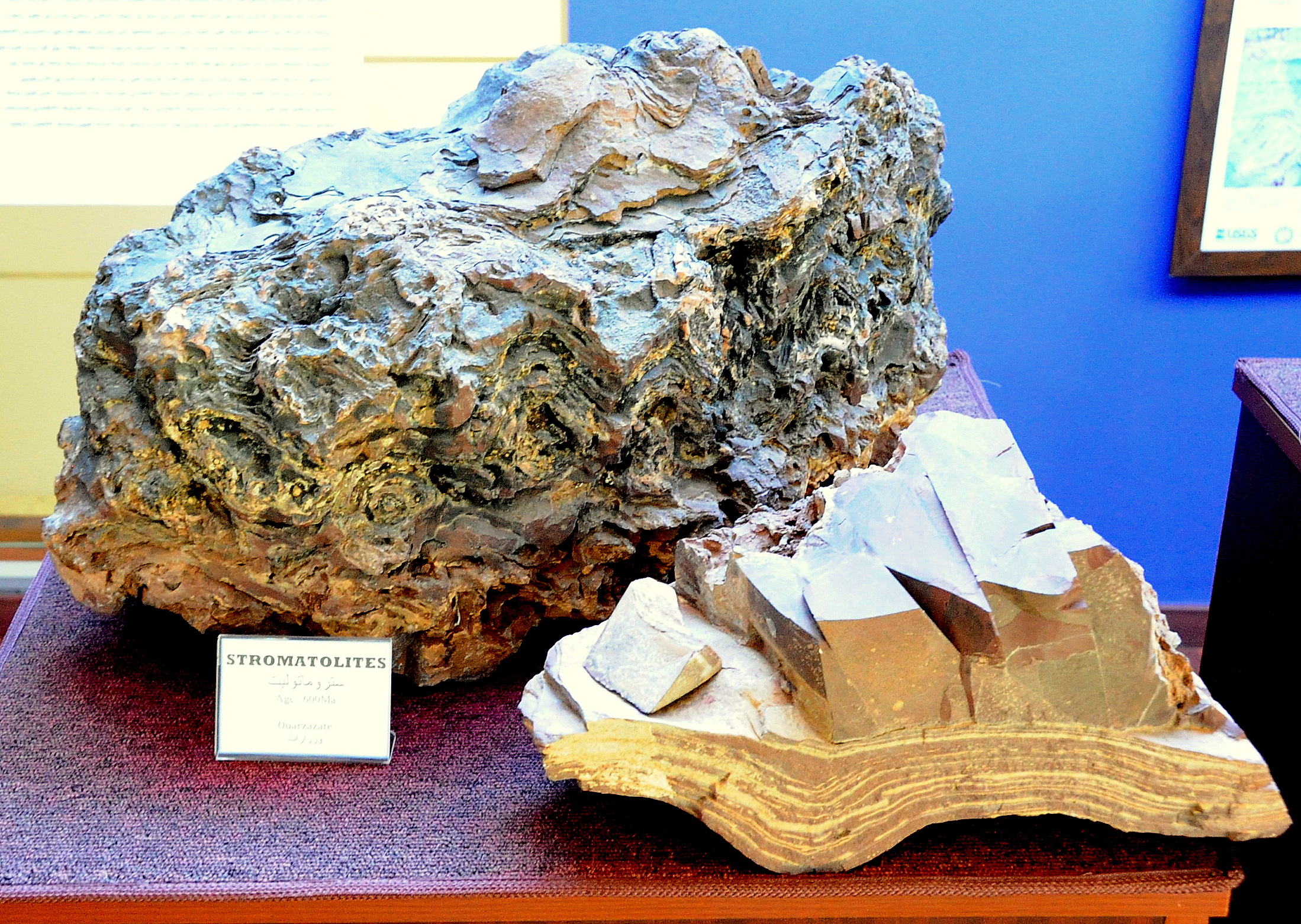 Musée du Département de l'Energie et des Mines